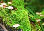 石家庄试管婴儿辅助生育技术指南