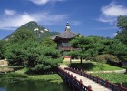 试管婴儿太胖要先减肥吗？深度解析及建议